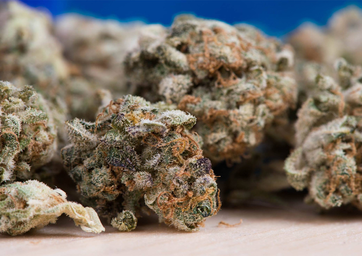 Jak zdobyć receptę na marihuanę medyczną?