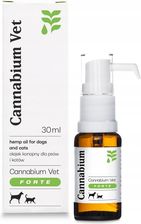 Cannabium Olej Cbd Vet Forte 10% 30Ml 3000Mg