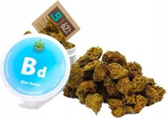 Hempbio 5G Blue Dream Susz Konopny Cbd Marihuana Małe Topy