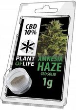 Plant Of Life Hasz Amnesia Haze 10% CBD 1g