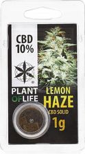 Plant Of Life Hasz Lemon Haze 10% CBD 1g