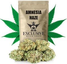 Royal Brand Susz konopny CBD Amnesia Haze 100g