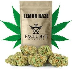 Royal Brand Susz konopny CBD Lemon Haze 20g