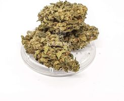 Sativa Poland Cbd Kwiaty Konopi „Green C” 5g