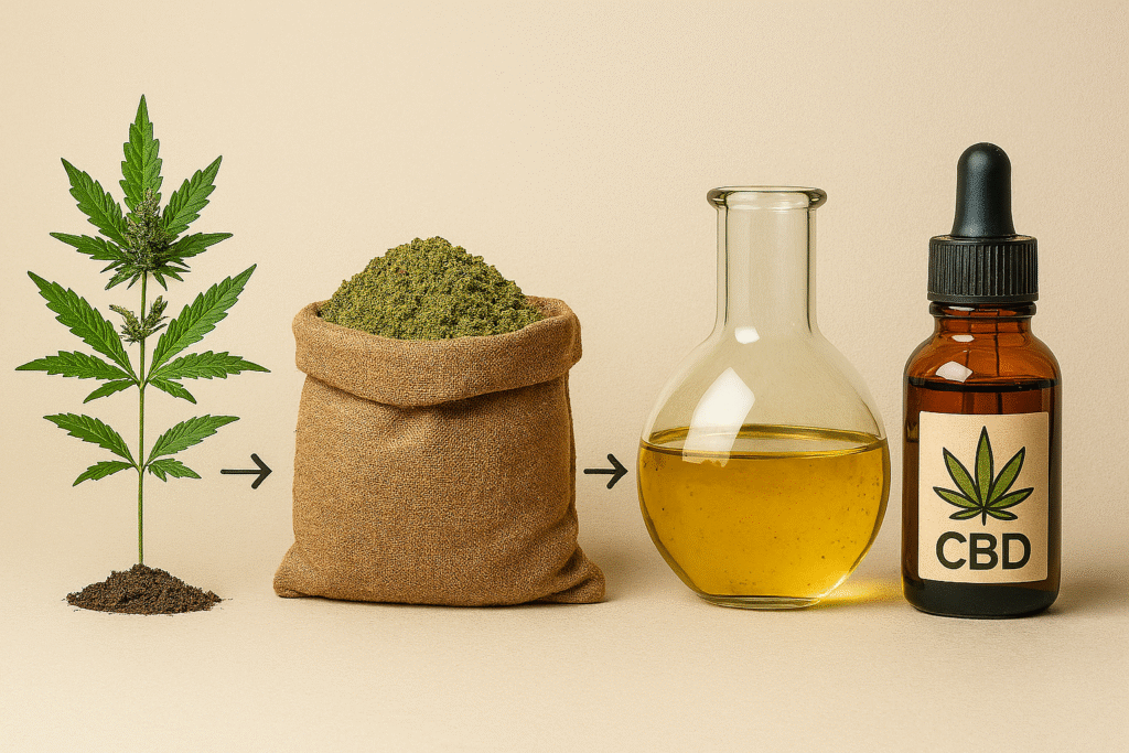 CBD produkcja